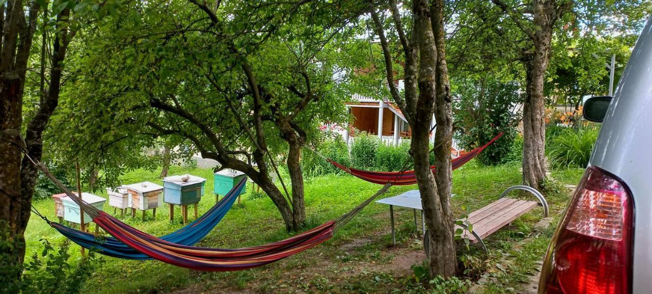 Bees Guesthouse Mestia Exterior photo