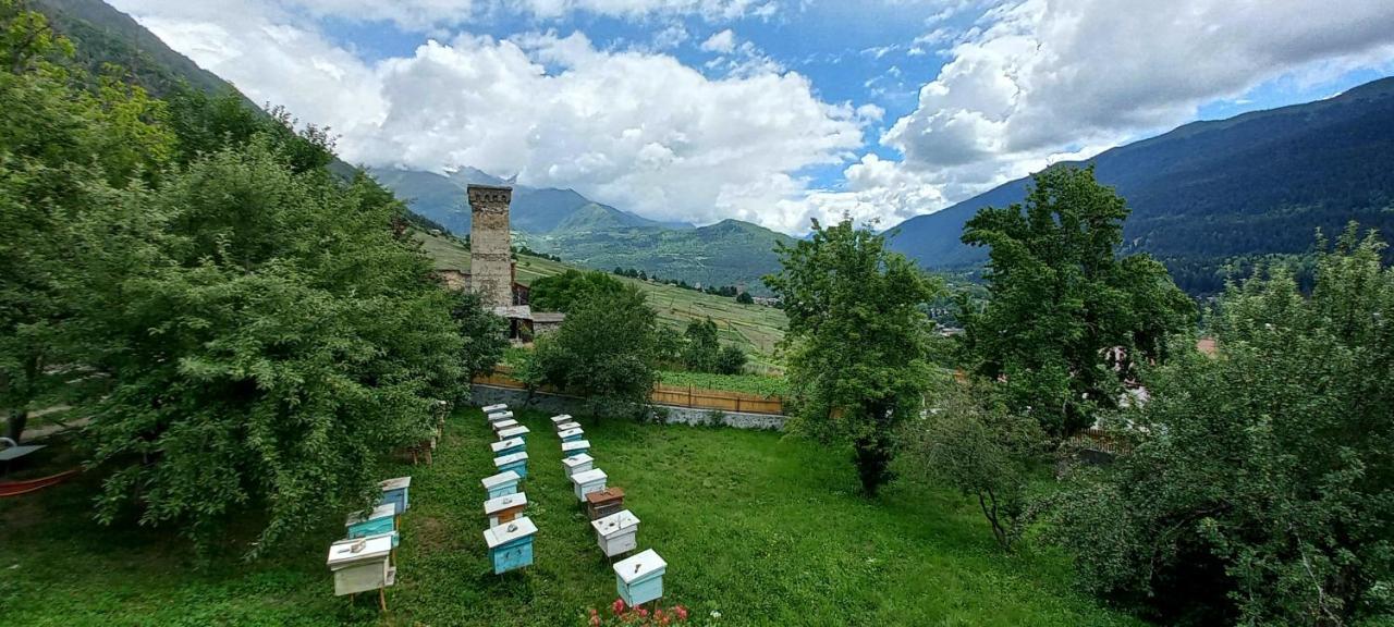 Bees Guesthouse Mestia Exterior photo